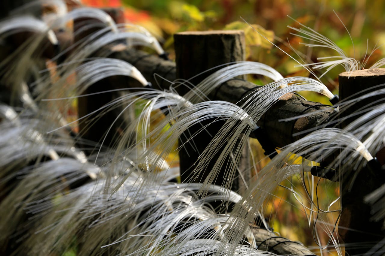 services-01 Artistic close-up of fiber optic strands woven through wooden fence outdoors.